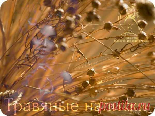 ТРАВЯНЫЕ НАПИТКИ НА РУСИ