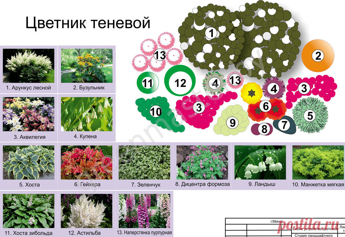 СХЕМЫ ЦВЕТНИКОВ, КЛУМБ И МИКСБОРДЕРОВ. – 249 фотографий | ВКонтакте