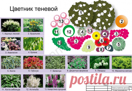 СХЕМЫ ЦВЕТНИКОВ, КЛУМБ И МИКСБОРДЕРОВ. – 249 фотографий | ВКонтакте