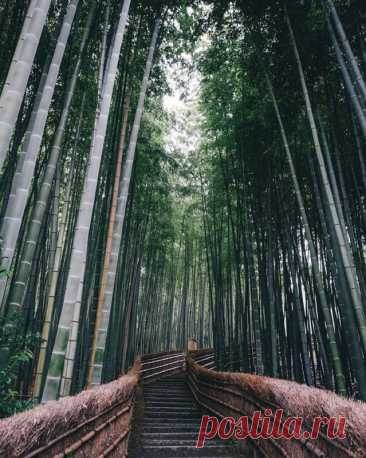 Японский колорит в уличных фотографиях Такаши Ясуи Снимки Такаши Ясуи (Takashi Yasui) наполнены естественной красотой японских улиц. «Фотография – это больше чем удовольствие, это страсть», – пишет он на своём сайте. Изображения Ясуи выдают в нём отличного наблюдателя, который замечает прекрасное в обычных уличных сценах и в...