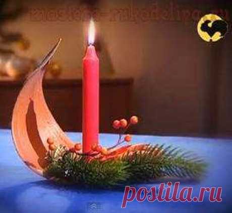 Живые цветы