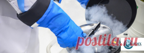 Криологистика, услуги криологистики | Medex