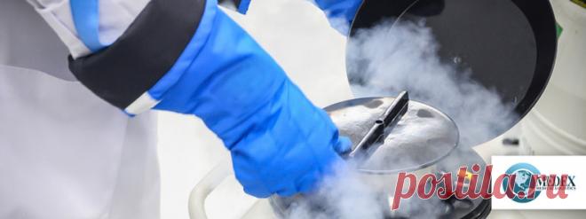 Криологистика, услуги криологистики | Medex