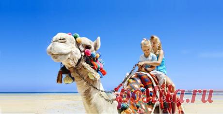 Волшебный и древний Египет / Туристический спутник