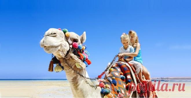 Волшебный и древний Египет / Туристический спутник