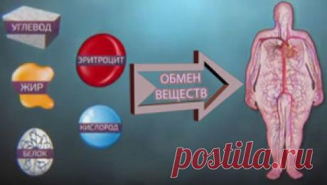 Почему нарушается обмен веществ. Признаки нарушения