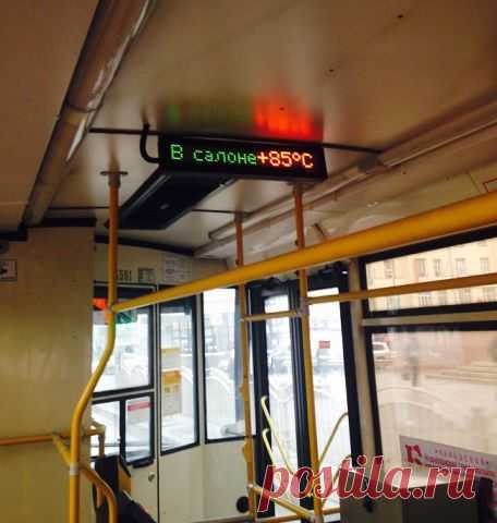 Отборные  и видео приколы.
Виталий Лавелин