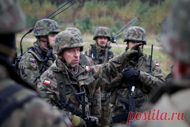 Войска НАТО будут введены под видом миротворцев или охраны места крушения Боинга