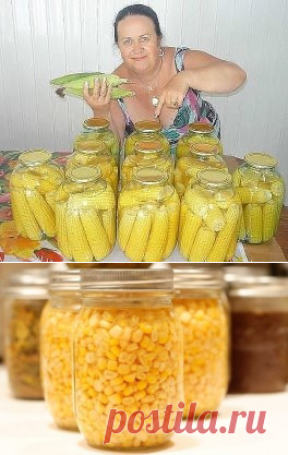 Сахарная кукуруза