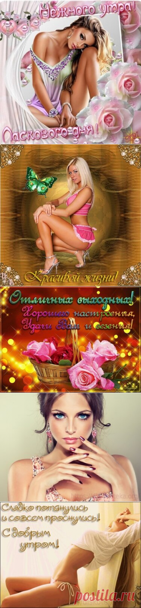 142 карточки в коллекции «Гороскоп для милых дам» пользователя Олег Тигриков в Яндекс.Избранном