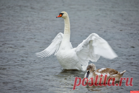 Фото: ******. пенсионер Юрий Фефилов. Природа. Фотосайт Расфокус.ру