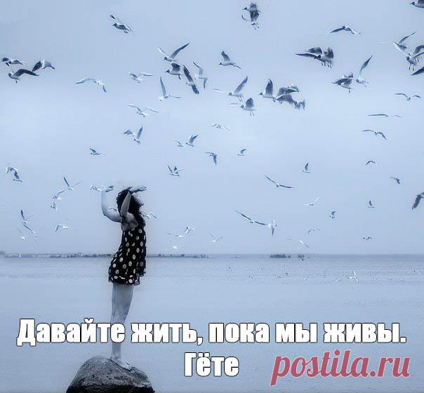 Восхитительные и красивые фразы про жизнь со смыслом - читать