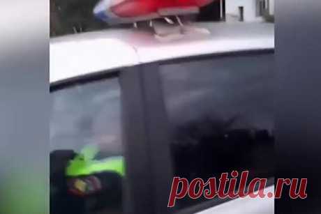 Спящие в служебной машине российские полицейские попали на видео. В Липецке сотрудников полиции, спящих в служебном автомобиле, засняли на видео. Уснувших правоохранителей заметил прохожий. Автор ролика обошел машину, снял госномер, а затем разбудил сотрудников ДПС. Они предъявили по его просьбе жетоны и представились. В МВД инициировали служебную проверку.
