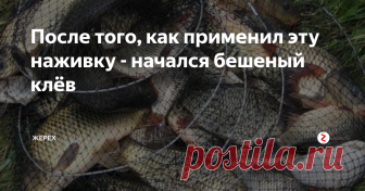 После того, как применил эту наживку - начался бешеный клёв Здравствуйте, уважаемые подписчики и гости моего канала!
В этой статье поделюсь с вами одним рецептом, с помощью которого клёв рыбы активизируется и усиливается в разы!
Это так называемый ДИП. И для его приготовления нам понадобится всего лишь пара зубчиков чеснока и один флакончик глицерина, который продается в аптеке.
Всё, что нужно для приготовления – это раздавить чеснок в «чеснокодавилке» и п