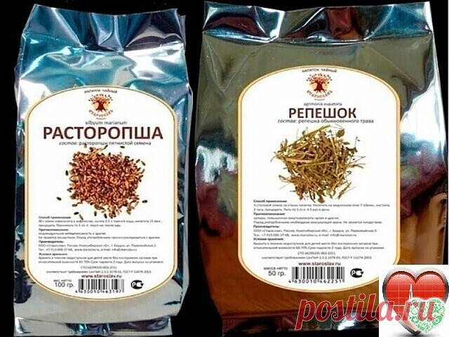 Чистая кровь – основа основ
Мой старший брат Саша — врач- кардиолог. Он часто со мной про­водит просветительские беседы, рассказывает много интересного. Саша говорит, что состав и чистоту крови во многом определяет качество жизни любого организма. Если в крови каких-либо «составляющих» появляет­ся значительно больше или, наоборот, меньше нормы, то развиваются за­болевания. Поэтому очищение крови — один из способов оздоровления организма. В старину большинство болезней меди...