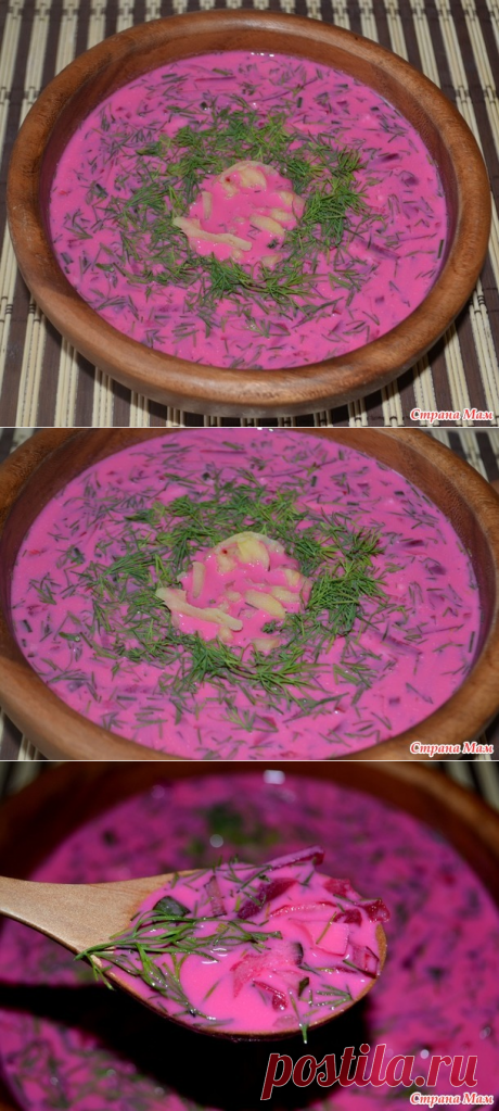 Литовский холодный борщ - Мыслишки от Амишки - Страна Мам