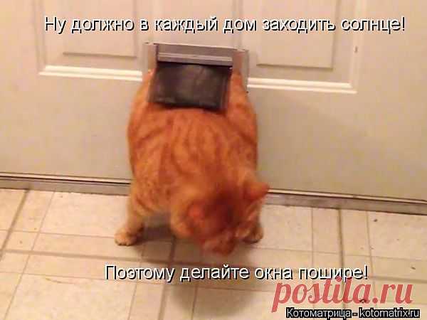 счастье в дом