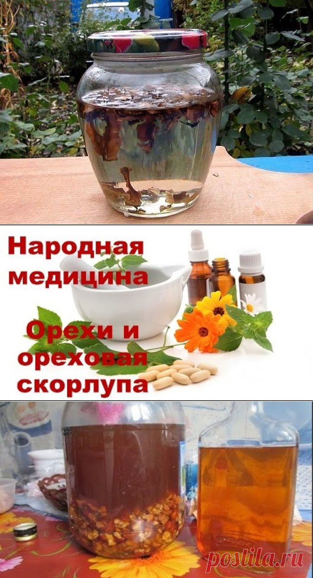 Настойка из перегородок грецкого ореха