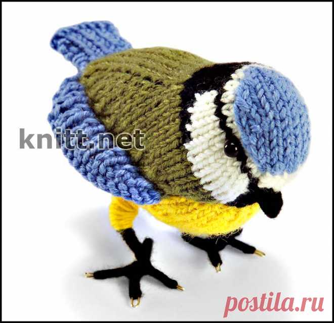 Синичка-Лазоревка