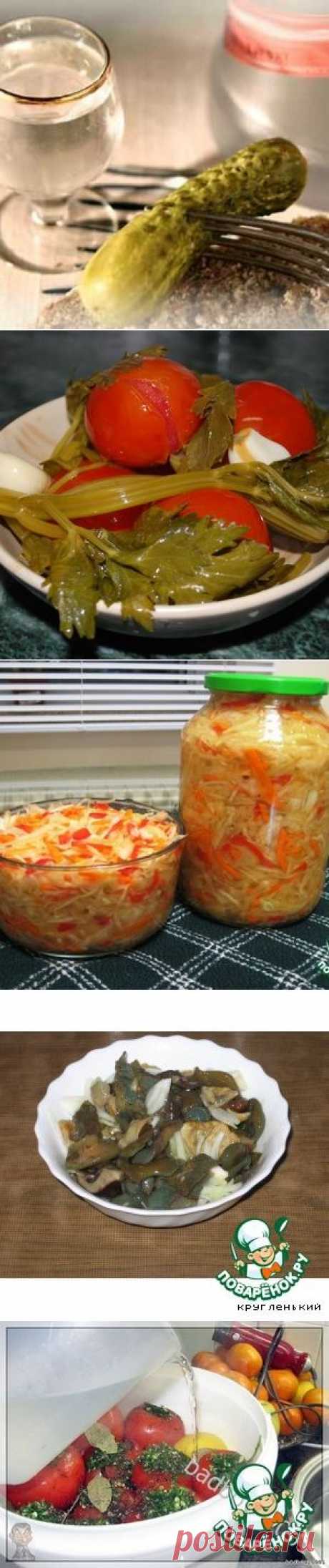 Засолка на зиму