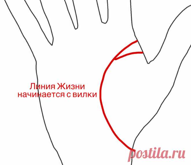 Вилка в начале линии Жизни. | Виктория Кутукова | Яндекс Дзен