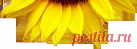 Хотток - кулинарный рецепт