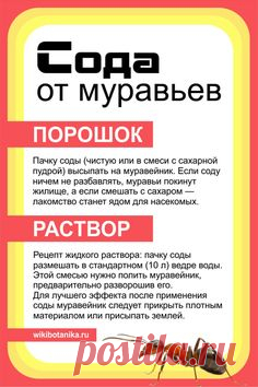 (910) Pinterest