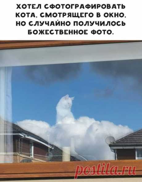 Фото дня