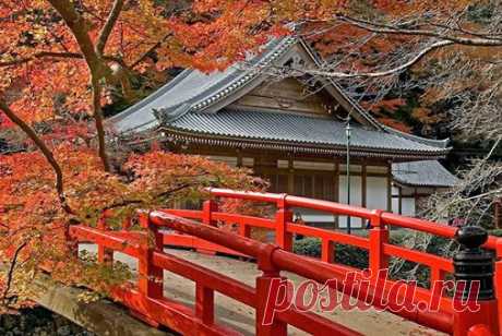 Ольга Миронова – Google+