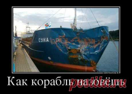 Новые демотиваторы