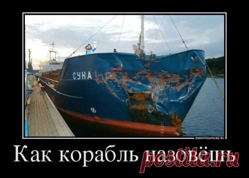 Новые демотиваторы