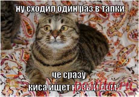 Дмитрий Ларьков