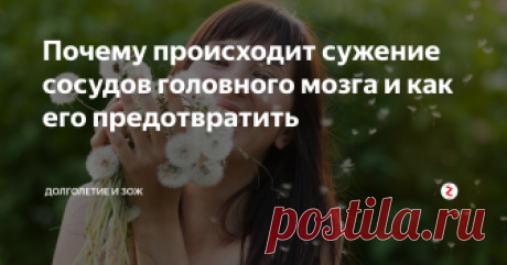 Почему происходит сужение сосудов головного мозга и как его предотвратить Состояние человека, его умственная и физическая работоспособность во многом зависят от здоровья сосудов, обеспечивающих поступление питательных веществ и кислорода к мыслительному органу. Сужение сосудов головного мозга (стеноз) приводит к кислородному голоданию клеток и тканей органа, изменению их строения и даже некрозу. Следствием этого могут стать: потеря памяти, слабоумие, инсульт. Назовём ос