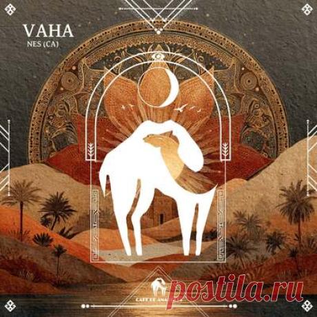 Cafe De Anatolia, Nes (CA) - Vaha | Progonlymusic Cafe De Anatolia, Nes (CA) - Vaha. BPM: 120. Key: D. Listen new music on Progonlymusic.