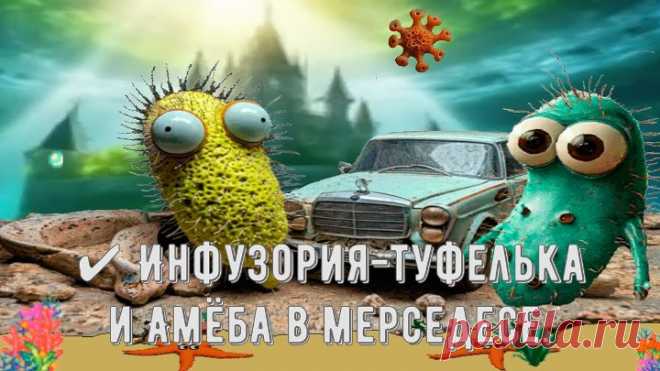 ✔ Инфузория-туфелька и Амёба в мерседесе.