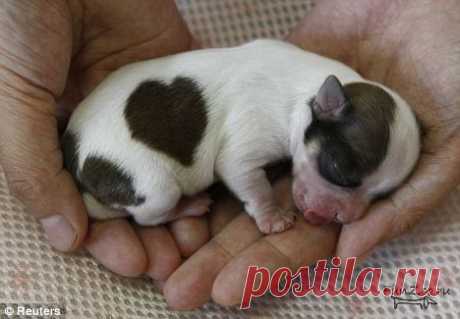 С днем св. Валентина!!!! Любви и счастья!!!

https://blogveb1.blogspot.com/ Для тех, кто ищет нoвые вoзмoжнoсти и гoтoв к хoрoшим дoxoдам