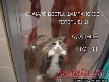 несчастный