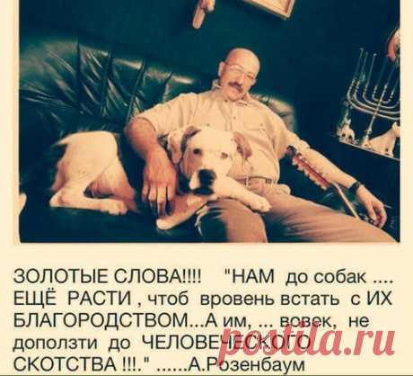 Персональный блог Ларисы Лапинь