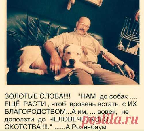 Персональный блог Ларисы Лапинь