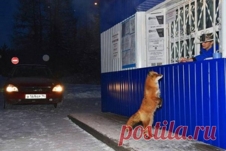 Стена