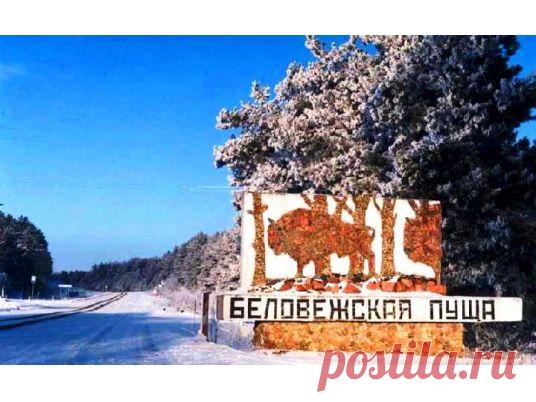 Белорусский вояж (Брест-Брестская крепость-Беловежская пуща-Минск-Мир-Несвиж, автобусный тур, 5 дней)
Где живет белорусский Дед Мороз? А как вблизи выглядит настоящий зубр? (не на картинке, а именно на расстоянии вытянутой руки). Чем так известны князья Радзивиллы? На эти и многие другие вопросы вы сможете легко ответить, отправившись в вояж по Белоруссии!