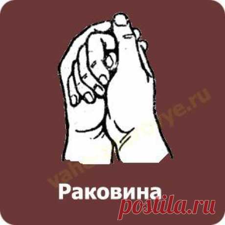 Основные мудры, их описание