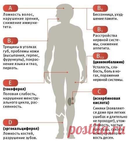 Как понять, в каких витаминах нуждается организм

 Забирайте к себе на страничку!
