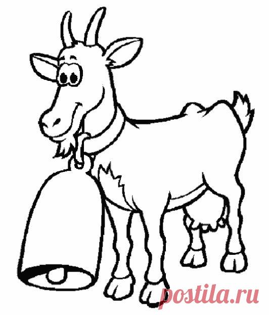 Раскраска коза | Детские раскраски, распечатать, скачать