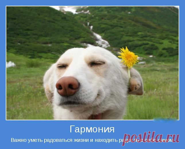 (+1) тема - Хотите счастья? | ВСЕГДА В ФОРМЕ!