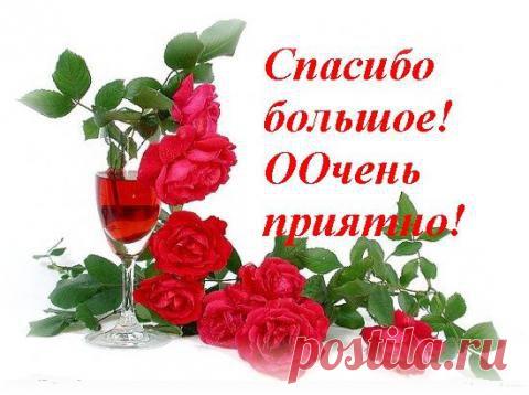 Бася! С Днём рождения! | 4vkusa.ru