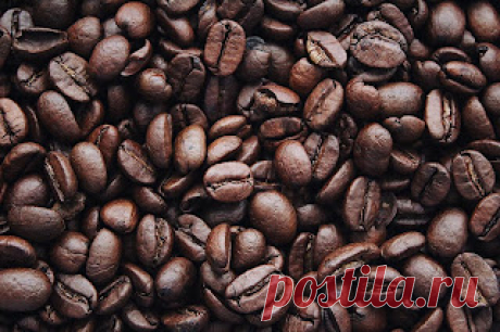 Самые тихие кошки