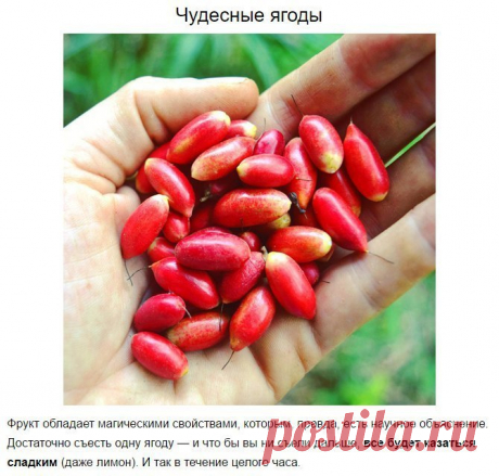 Мой Мир@Mail.Ru