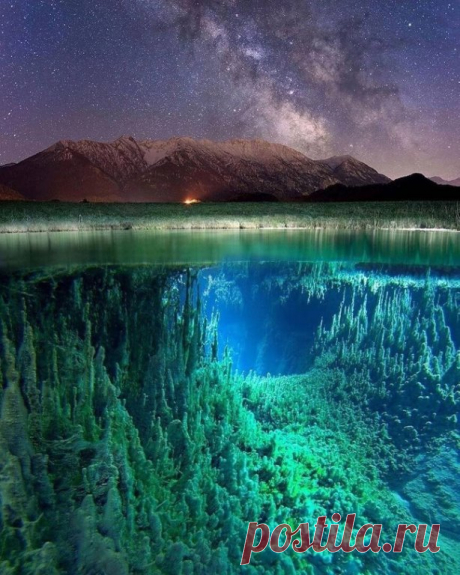 Мир в небесах и под водой.