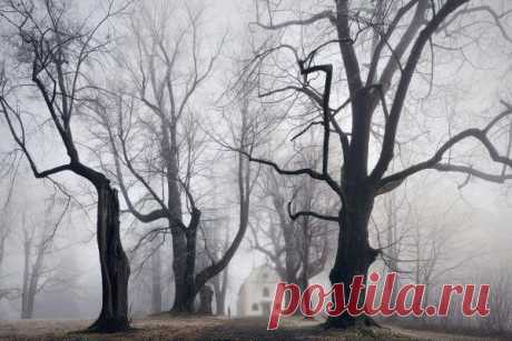 Серия фотографий “Родина братьев Грим / Удивительное искусство